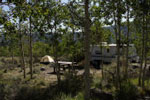 Bowery Creek Campground