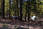 Singletree Campground
