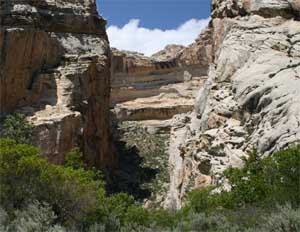 hiking near dinosaur national monument