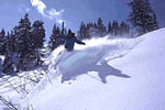 Powder Mountain Ski Resort