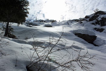 Mill B North Fork Trail Winter Hike