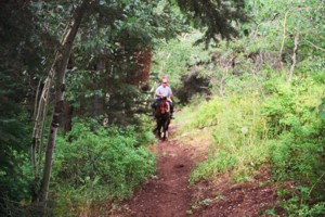 Bennie Creek Hiking Trail - Payson Canyon