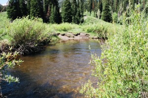 Fishing The Big Cottonwood Canyon Creek