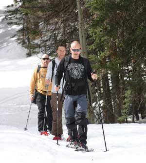 Days Fork Trail - Big Cottonwood Canyon