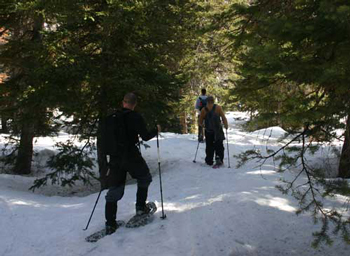 Days Fork Trail - Big Cottonwood Canyon