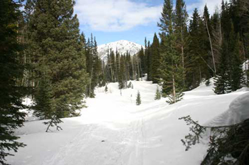 Days Fork Trail - Big Cottonwood Canyon