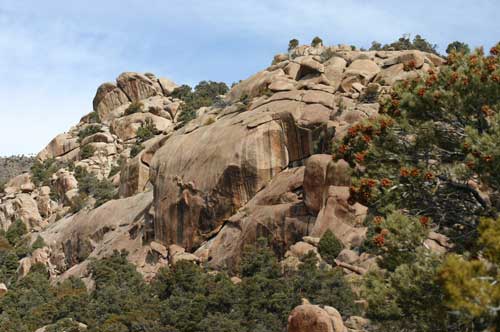 Miller Canyon Utah's West Desert