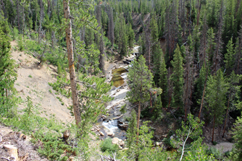 Slate Gorge - Utah Uinta Mountains