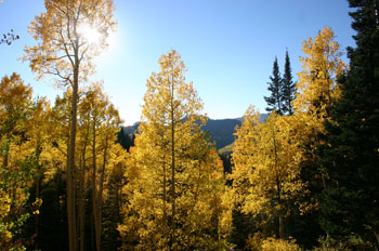 Utah Fall Colors