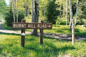 Burnt Hill Road (ATV Trail)