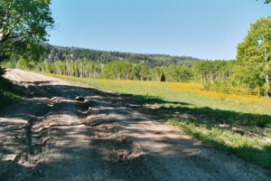 Burnt Hill Road (ATV Trail)