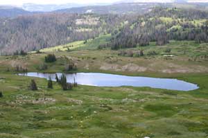 The Highest Point On The Skyline Drive - Utah Outdoor Activities