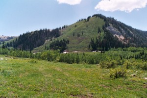 The Hougaard Fork ATV Trail