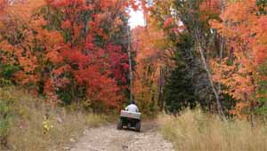 The Maple Canyon / Log Canyon ATV Trail Loop - Fountain Green Utah