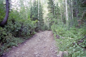 Forest Lake ATV Trail #194