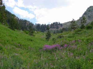 Hiking Alexander Basin / Gobblers Knob