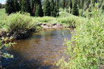 Fishing The Big Cottonwood Canyon Creek