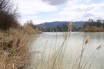 Fishing The Jordan River