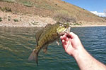 Kayak Fishing, Deer Creek - First Trip of the Season