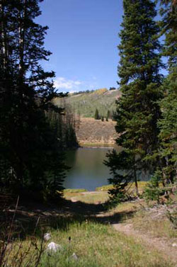 Mill Hollow Reservoir - Utah Outdoor Activities