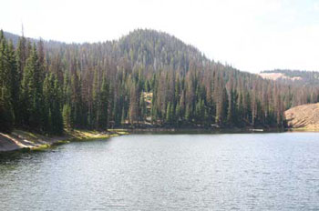 Mill Hollow Reservoir - Utah Outdoor Activities