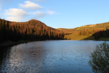 Mill Hollow Reservoir - Utah Outdoor Activities