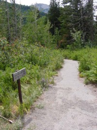 Red Pine Lake Hiking Trail - Little Cottonwood Canyon