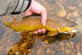 Fishing Utah