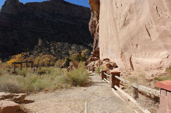 The Buck Horn Wash Ancient Petroglyphs and Pictographs