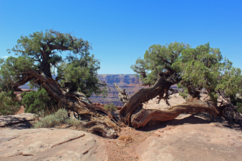 Dead Horse Point State Park