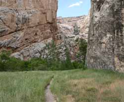 The Hog Canyon Hiking Trail - Dinosaur National Monument