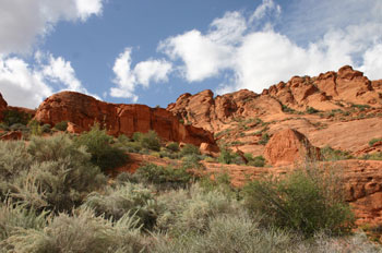 Red Cliffs Recreation Area