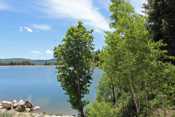 Silver Lake Flat Reservoir