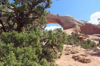 Wilson Arch