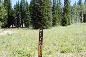 ATV Trail # 175 | Logan Canyon