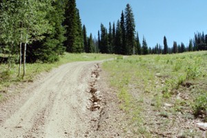 ATV Trail # 175 | Logan Canyon