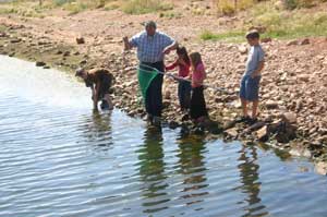 Crayfishing Utah