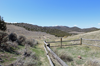 Pet Cemetery Lookout Pass Utah